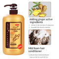 Shampooing et revitalisant anti-chute de cheveux de marque privée Nature Gingembre bio épaississant croissance shampooing et revitalisant Shampooing bio pour enfants